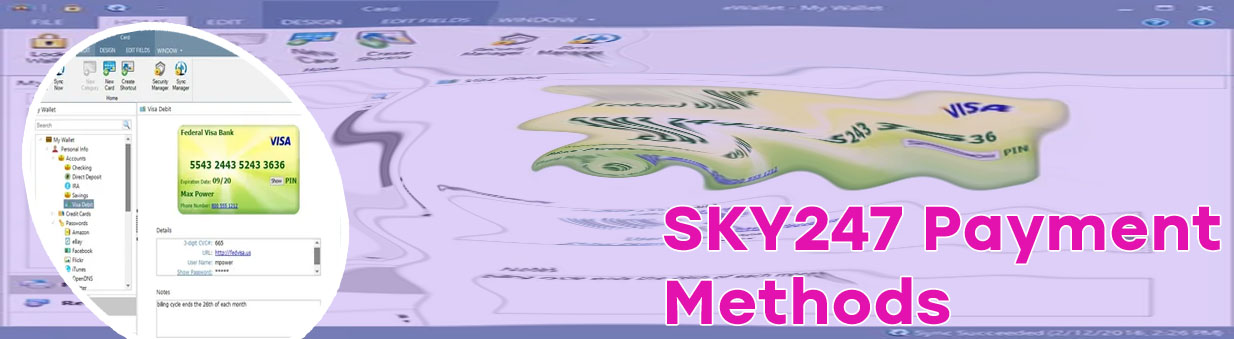 Sky247 ewallet